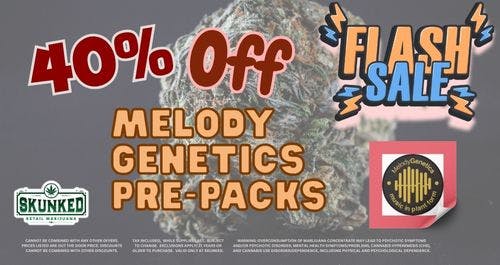 40% Off Melody Madness Prepack