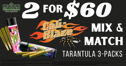 Cali-Blaze Tarantula 2 for $60